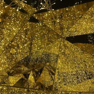 Meet your Posher, Scarlette